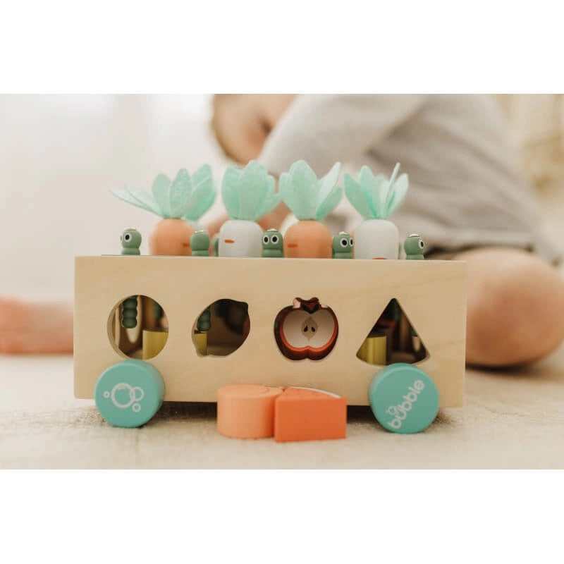 Bubble Wooden Vegetable Garden