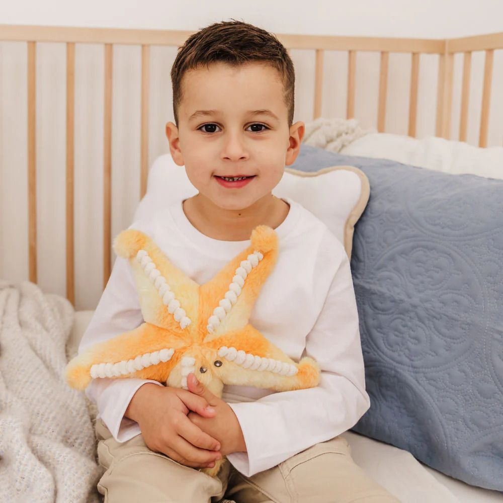 Bubble Sunny the Starfish Plush Toy