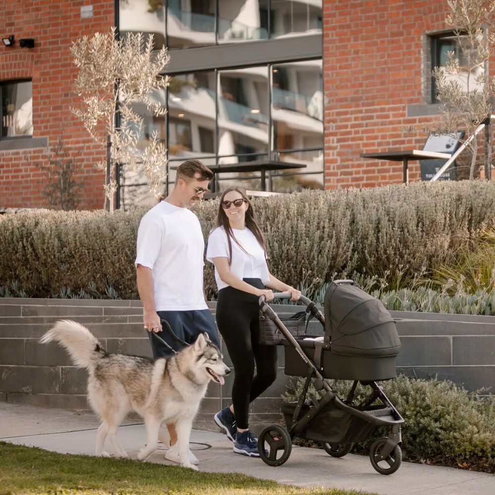 Edwards & Co Carry Cot 2