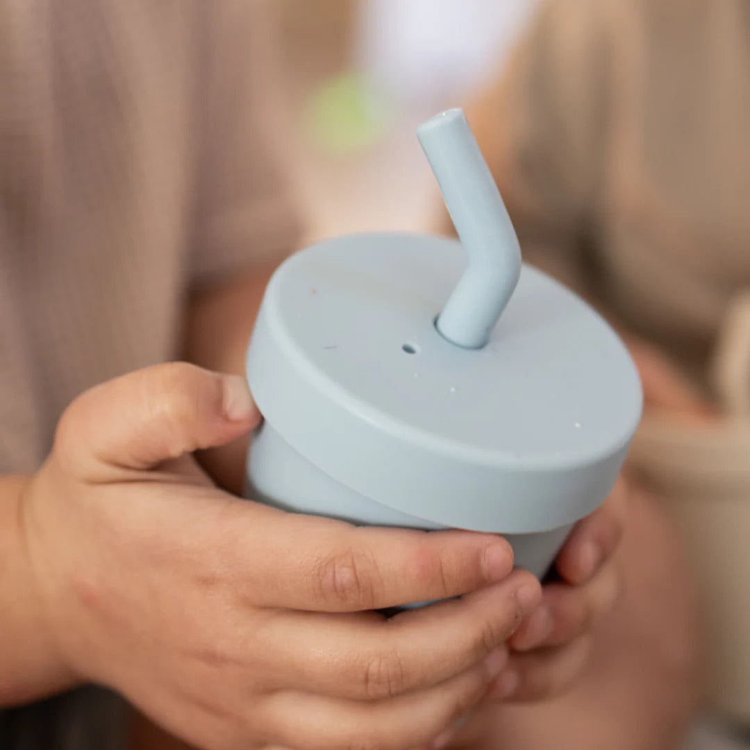 Petite Eats Insulated Smoothie Cup
