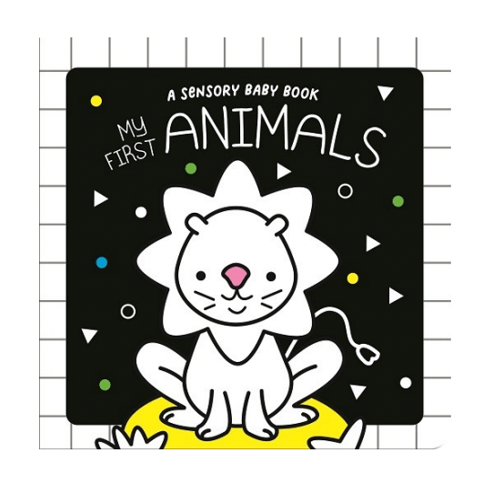 Sensory Baby Board Books