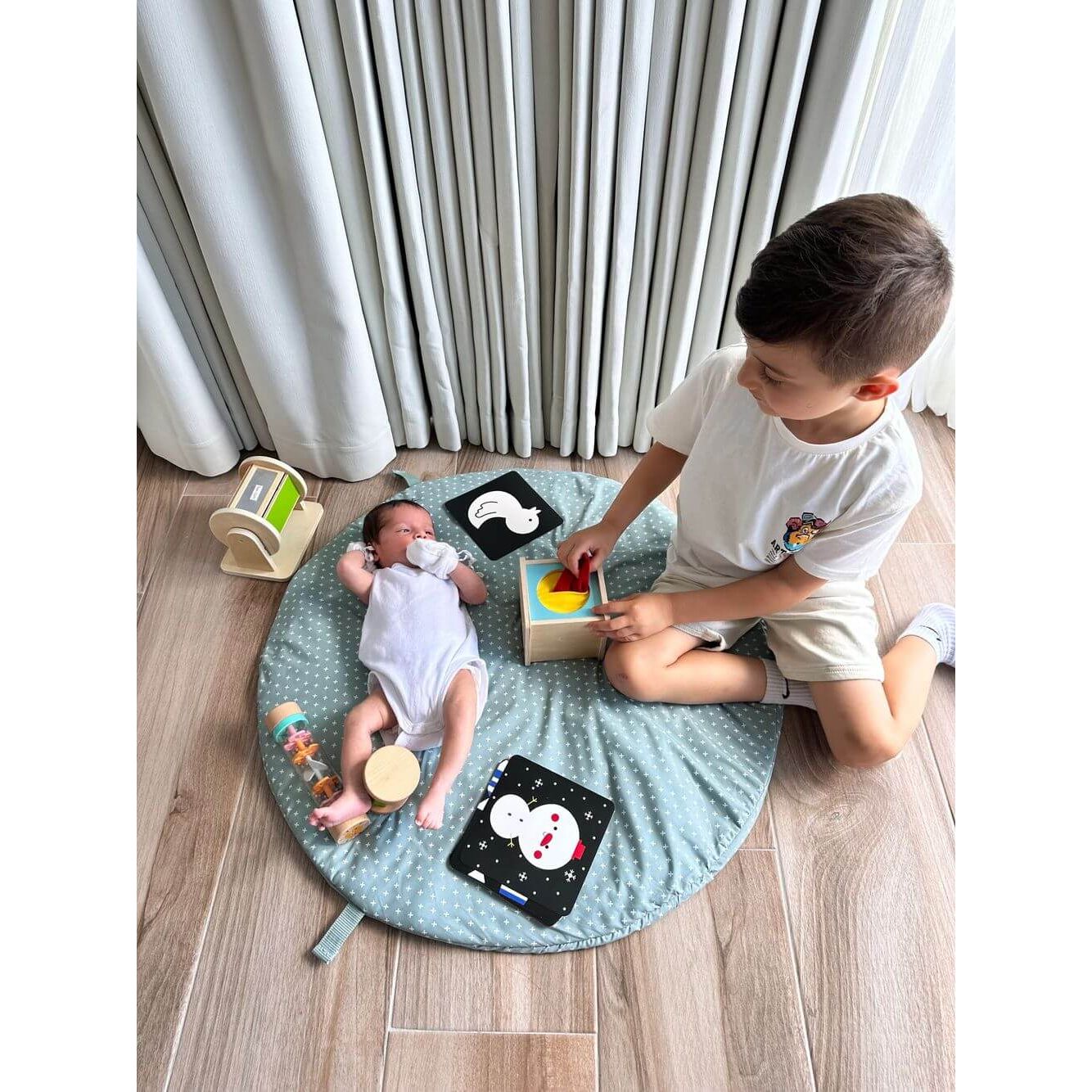 Big Dreams Club - Educational Toy Bundle 0-6m - The Tui Bundle
