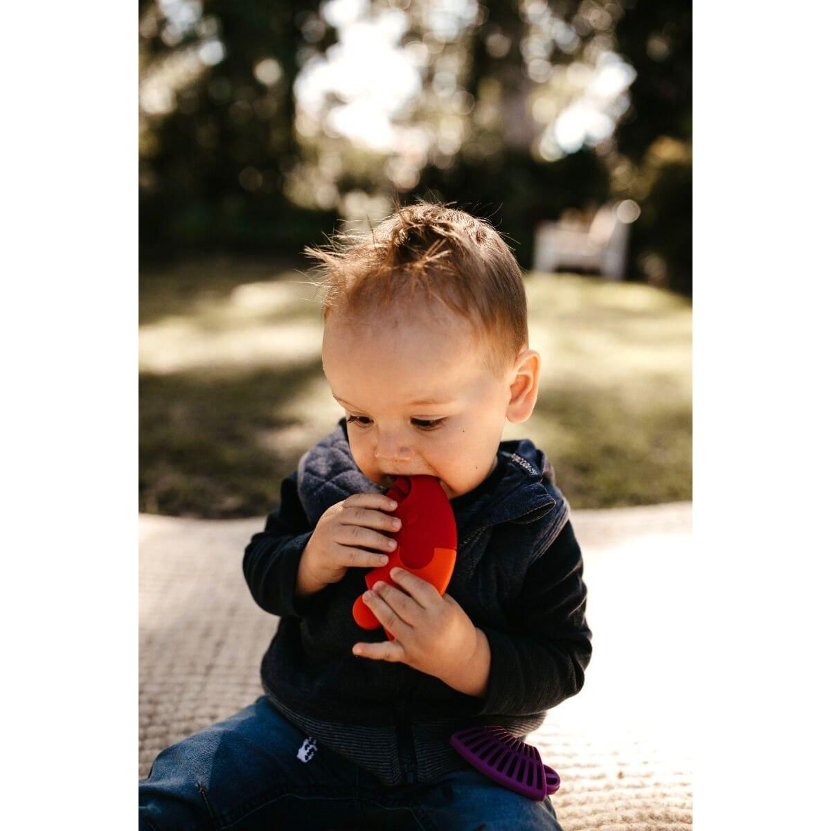 Jellystone Designs Colour Wheel