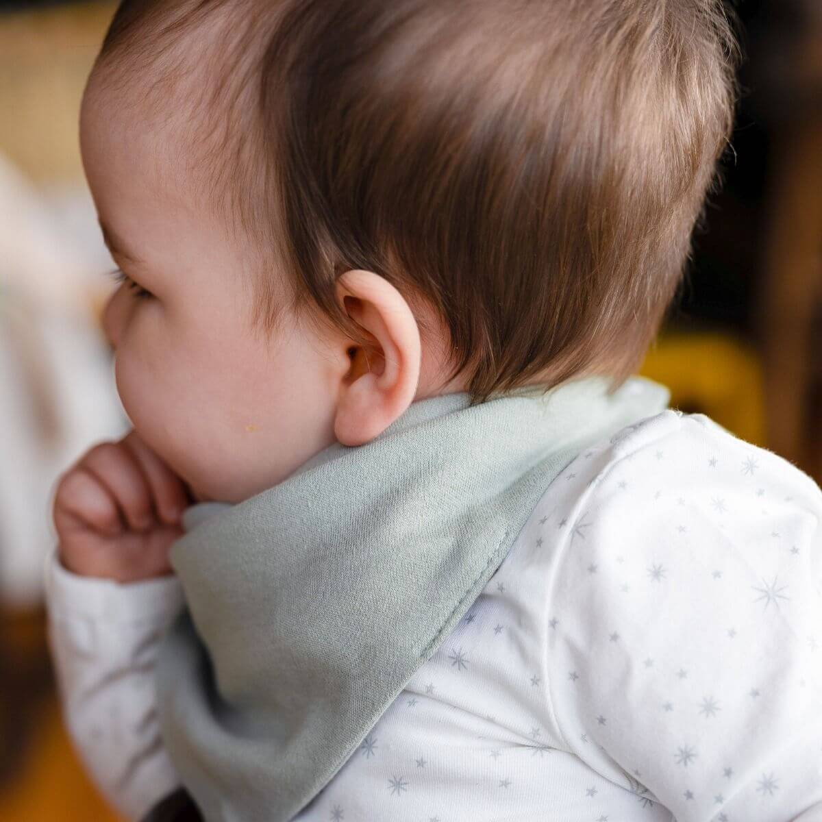 Little Linen Jersey Bib 2pk