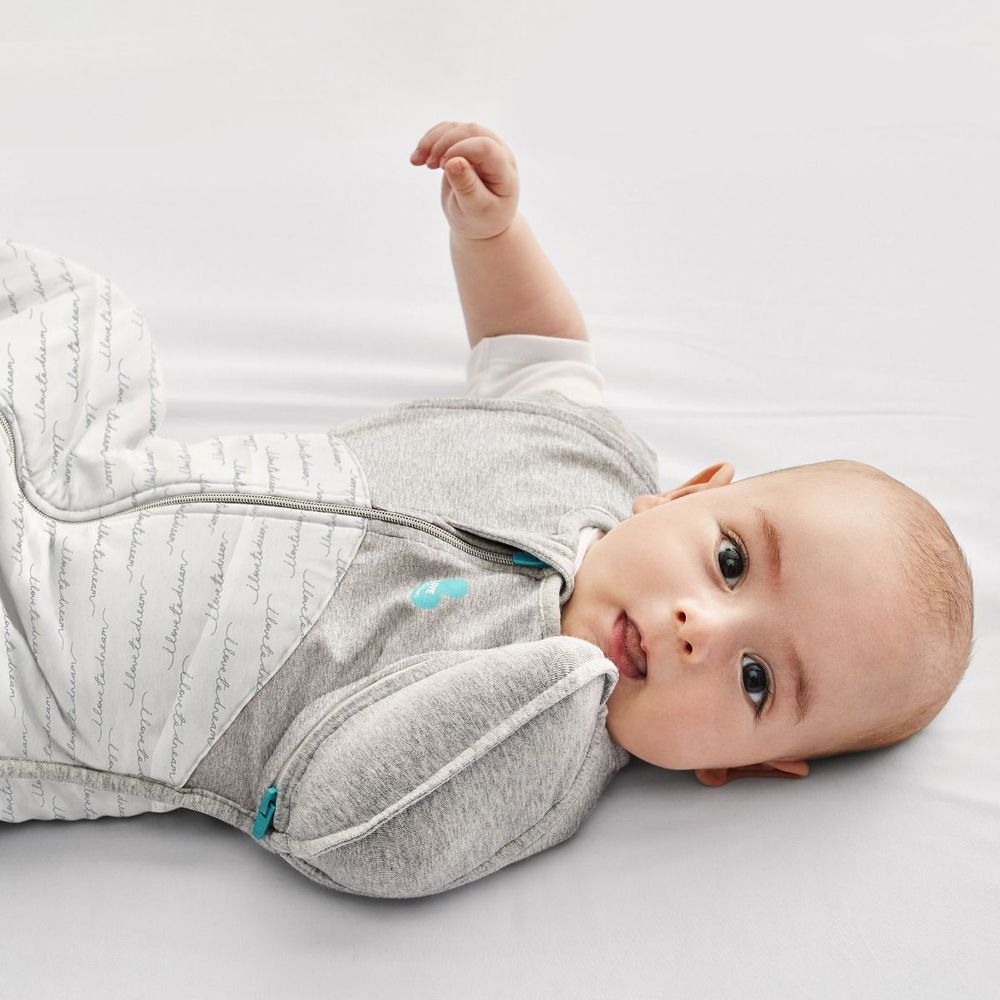 Love To Dream Swaddle UP Transition Bag Winter Warm Dreamer