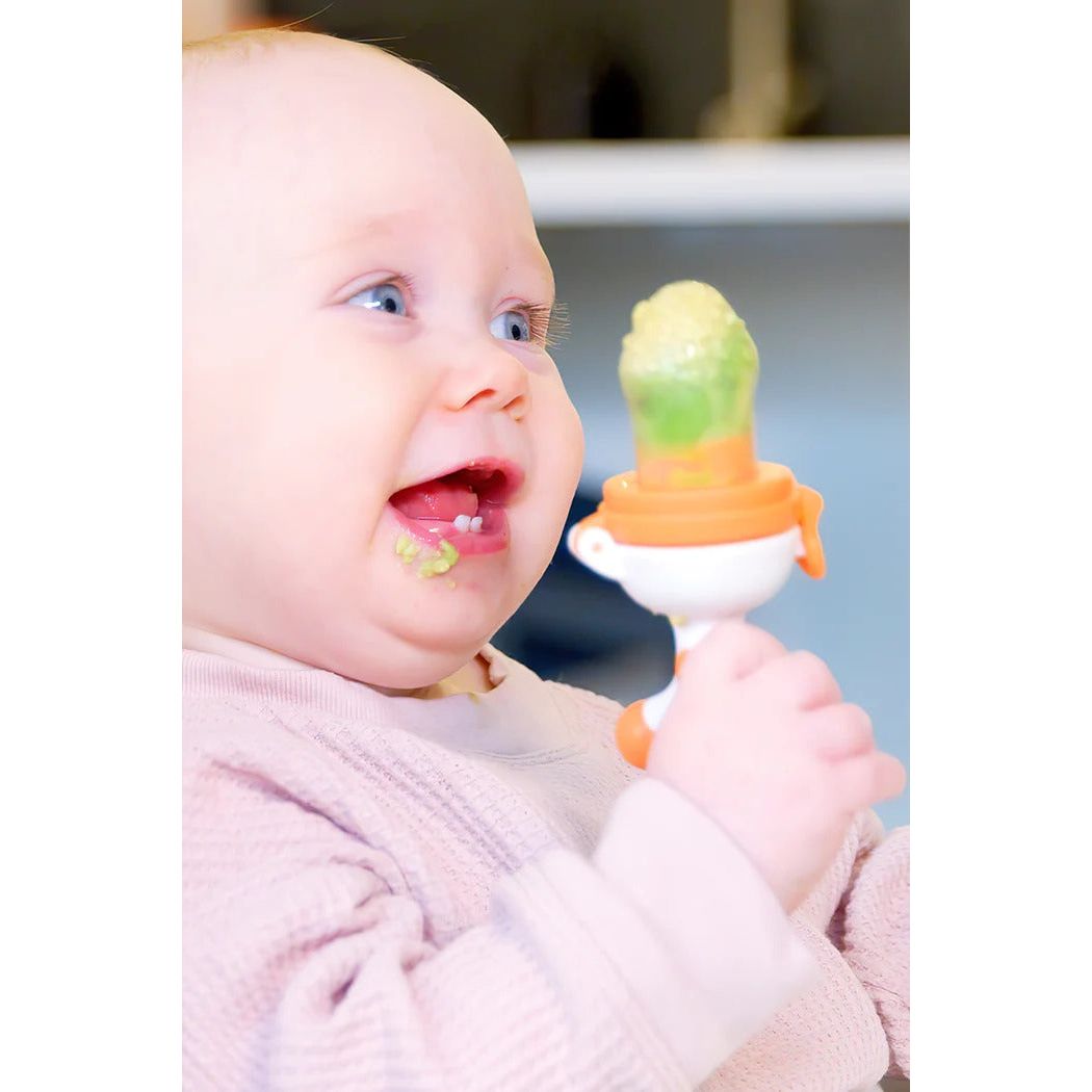 Quark Fruuti Baby Fruit Feeder