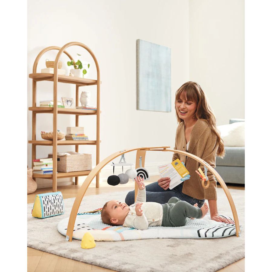 Skip Hop Discoverosity Deluxe Activity Gym
