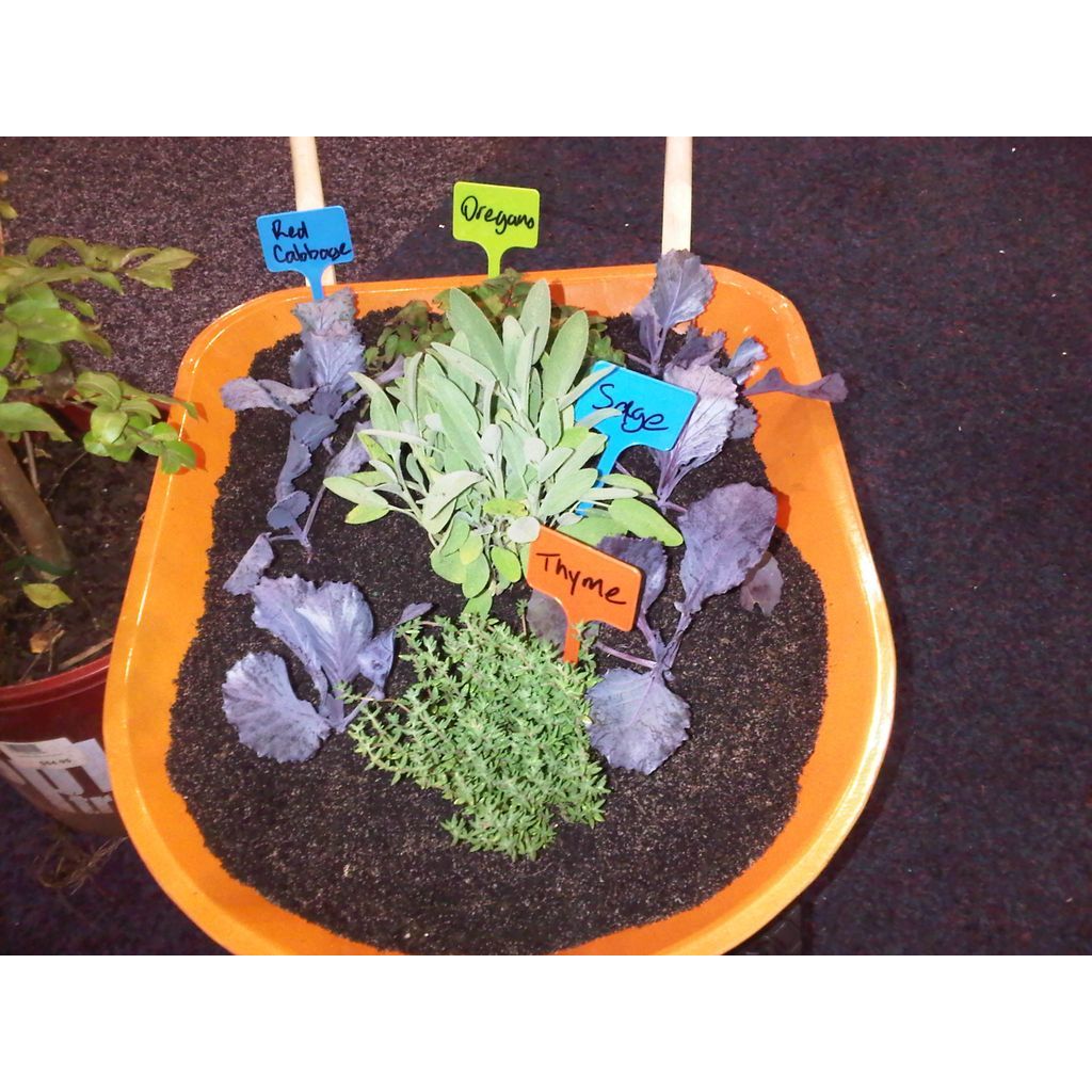 Twigz Kids Gardening Plant Labels