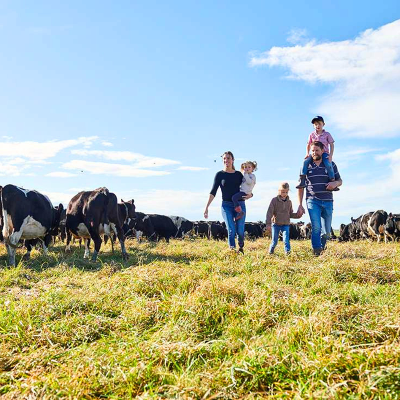 Life on the Farm with Little Ones in New Zealand