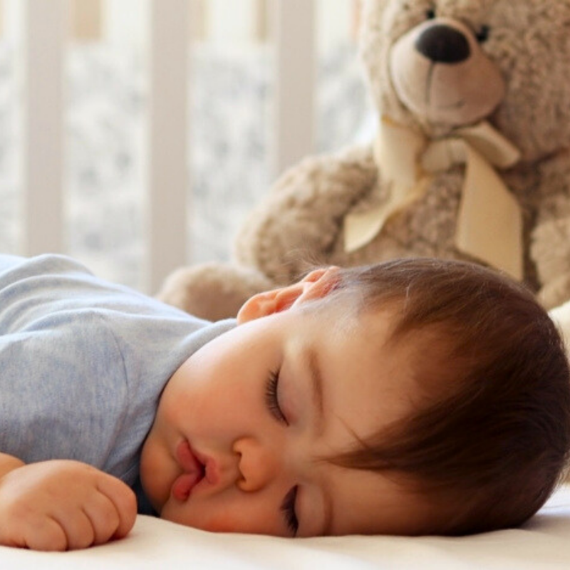 Sleep Consultant Referral