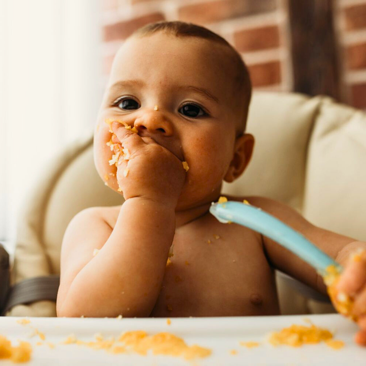 Baby Food
