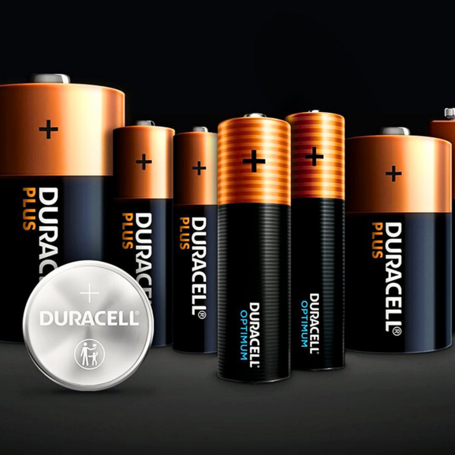 Batteries & Accessories