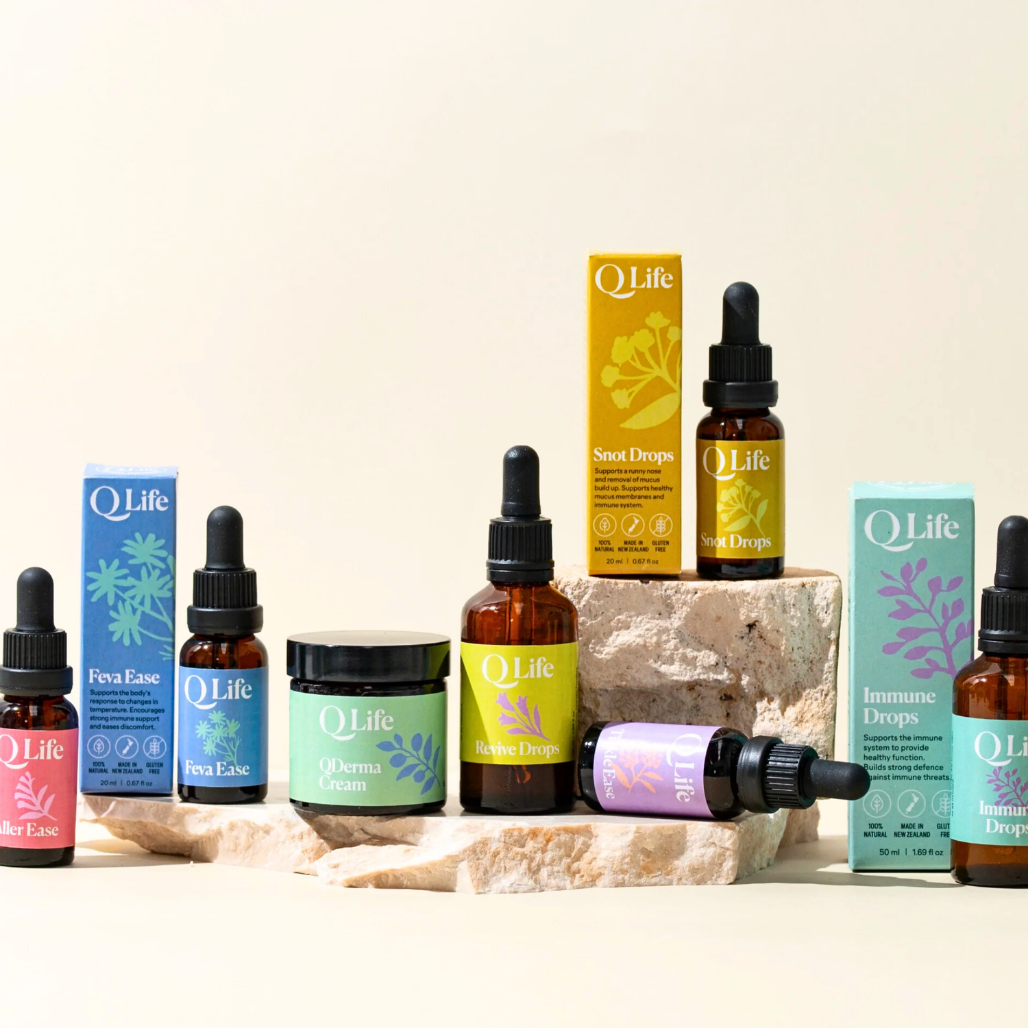 Health & Wellness