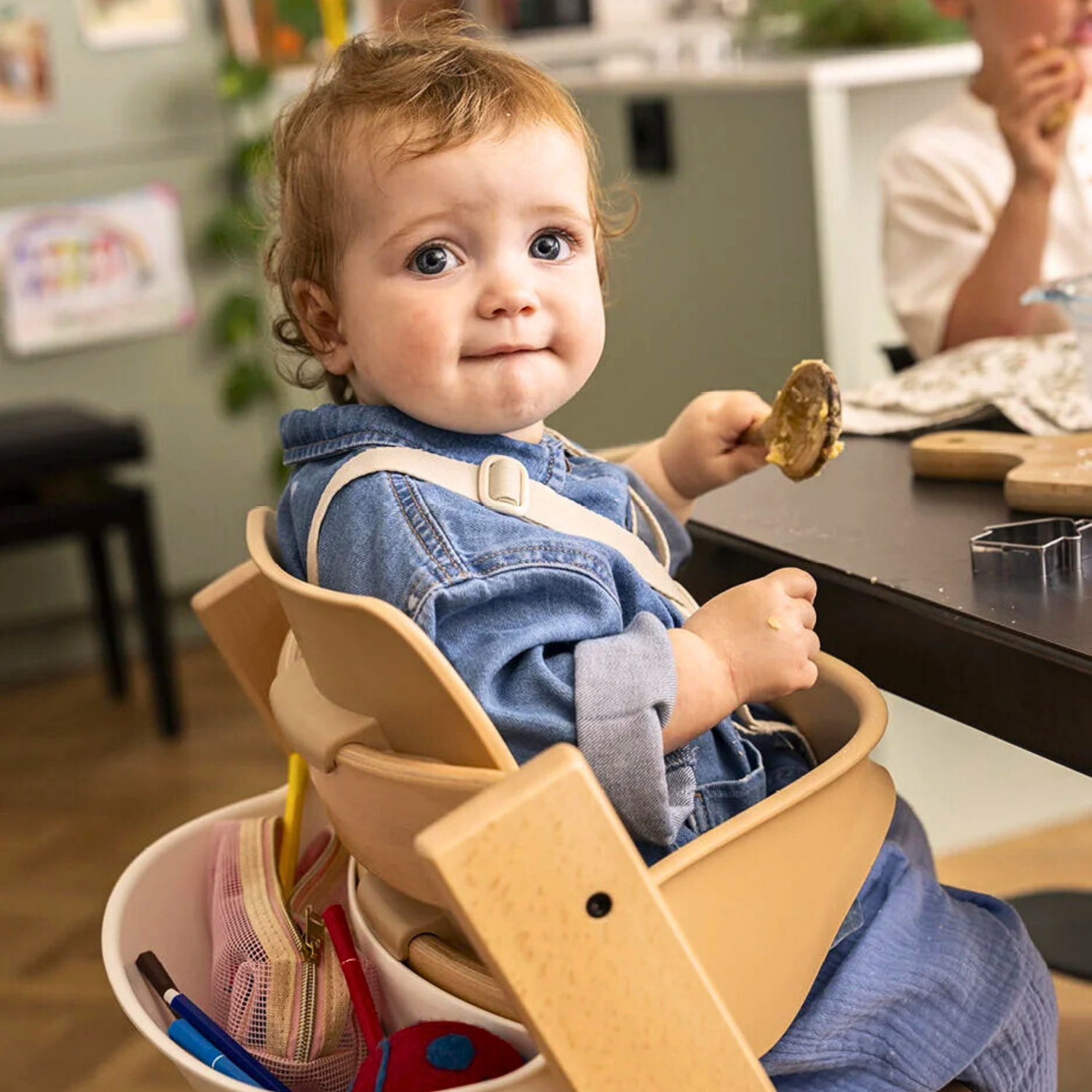 Highchair Accessories