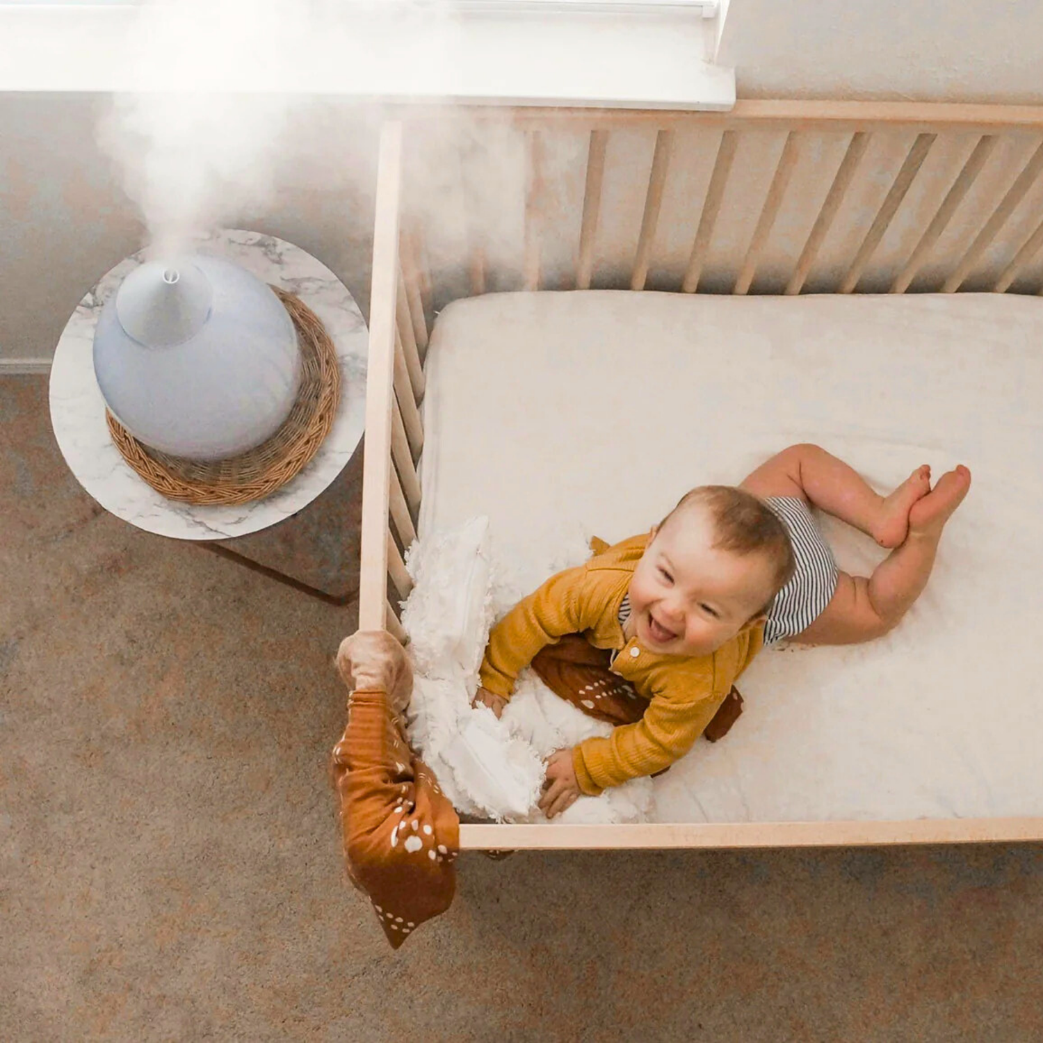 Humidifiers & Vaporizers