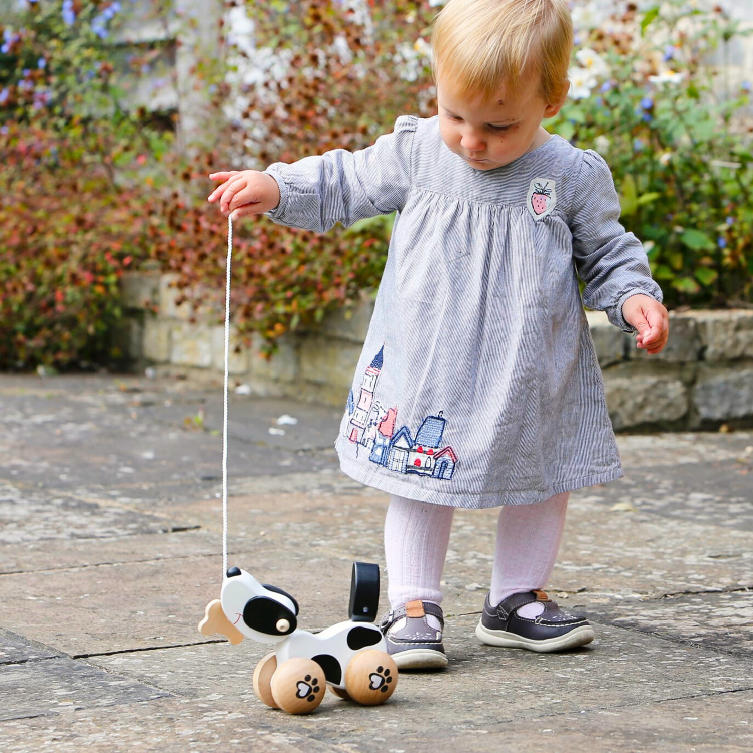 Push & Pull Along Toys