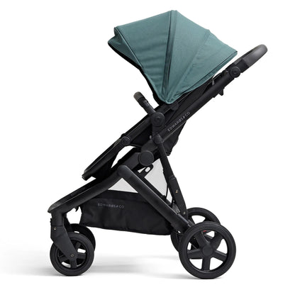 Edwards & Co Olive Essentials Pebble Bundle