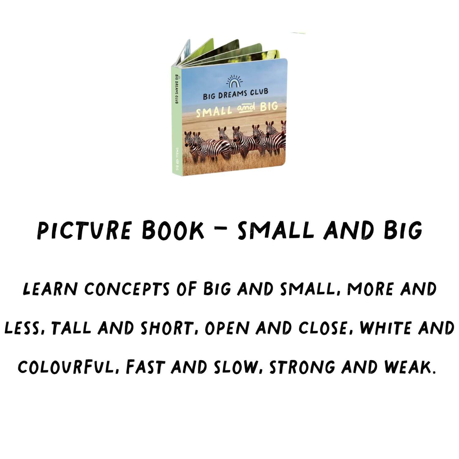 Big Dreams Club - Educational Toy Bundle 19-24m - The Kiwi Bundle