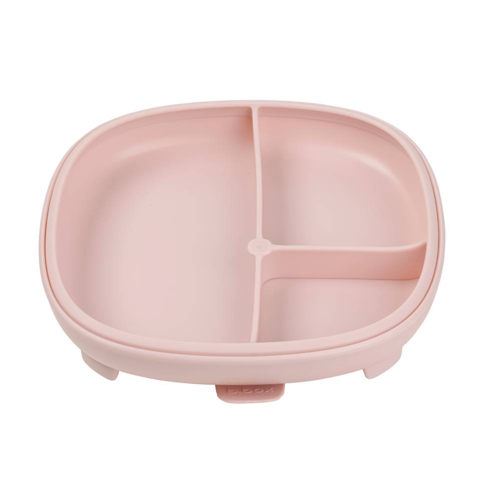 B.Box 2in1 Suction Plate
