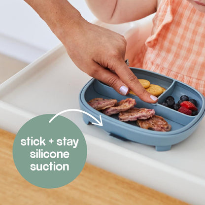 B.Box 2in1 Suction Plate