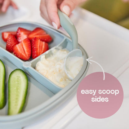 B.Box 2in1 Suction Plate