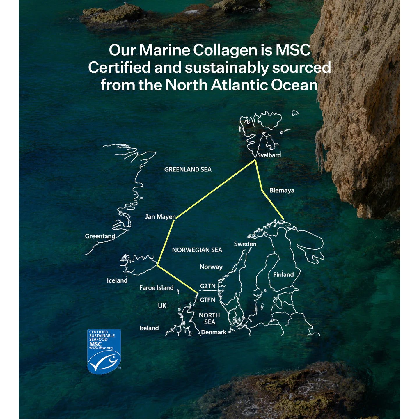 Two Islands Marine Collagen Capsules