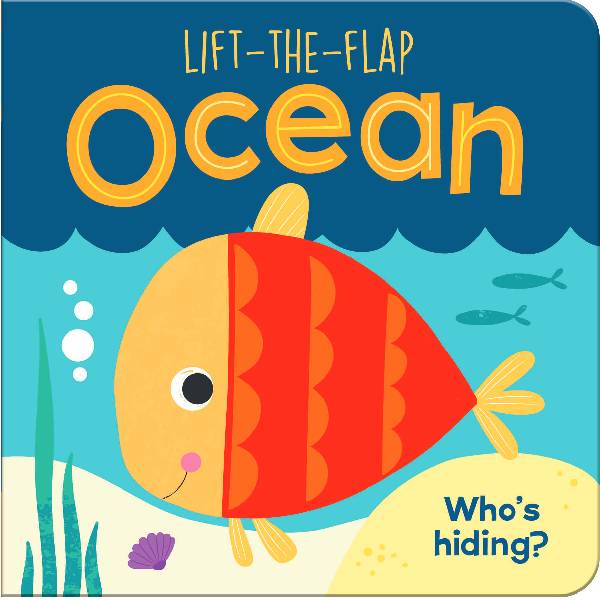 Lift The Flap Board Book