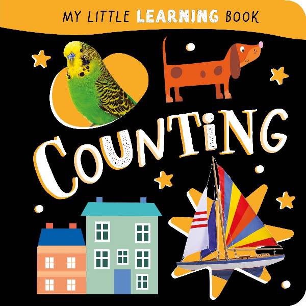 My Little Learning Book