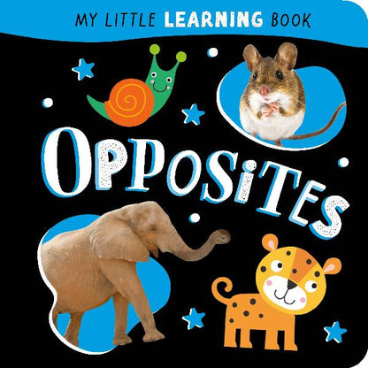 My Little Learning Book