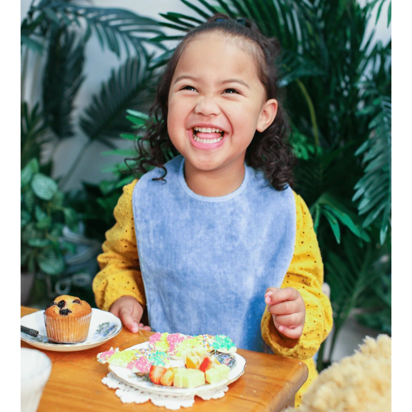 Brolly Sheets Extra Absorbent Bib - Baby and Toddler/Child