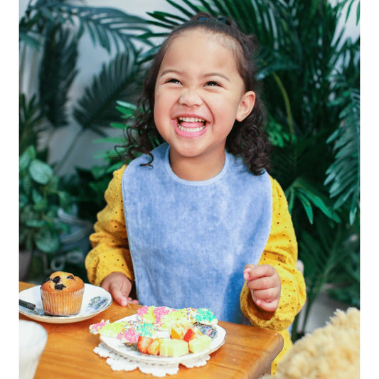 Brolly Sheets Extra Absorbent Bib - Baby and Toddler/Child
