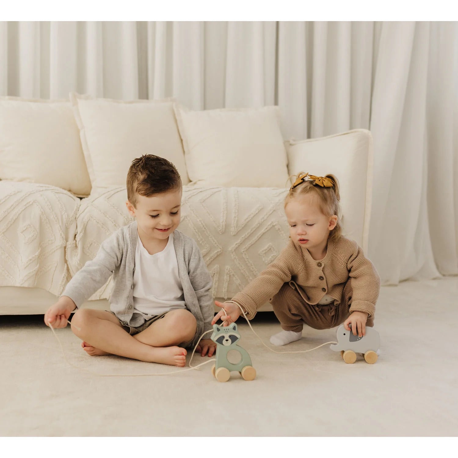 Bubble Wooden Raccoon Pull Along Toy