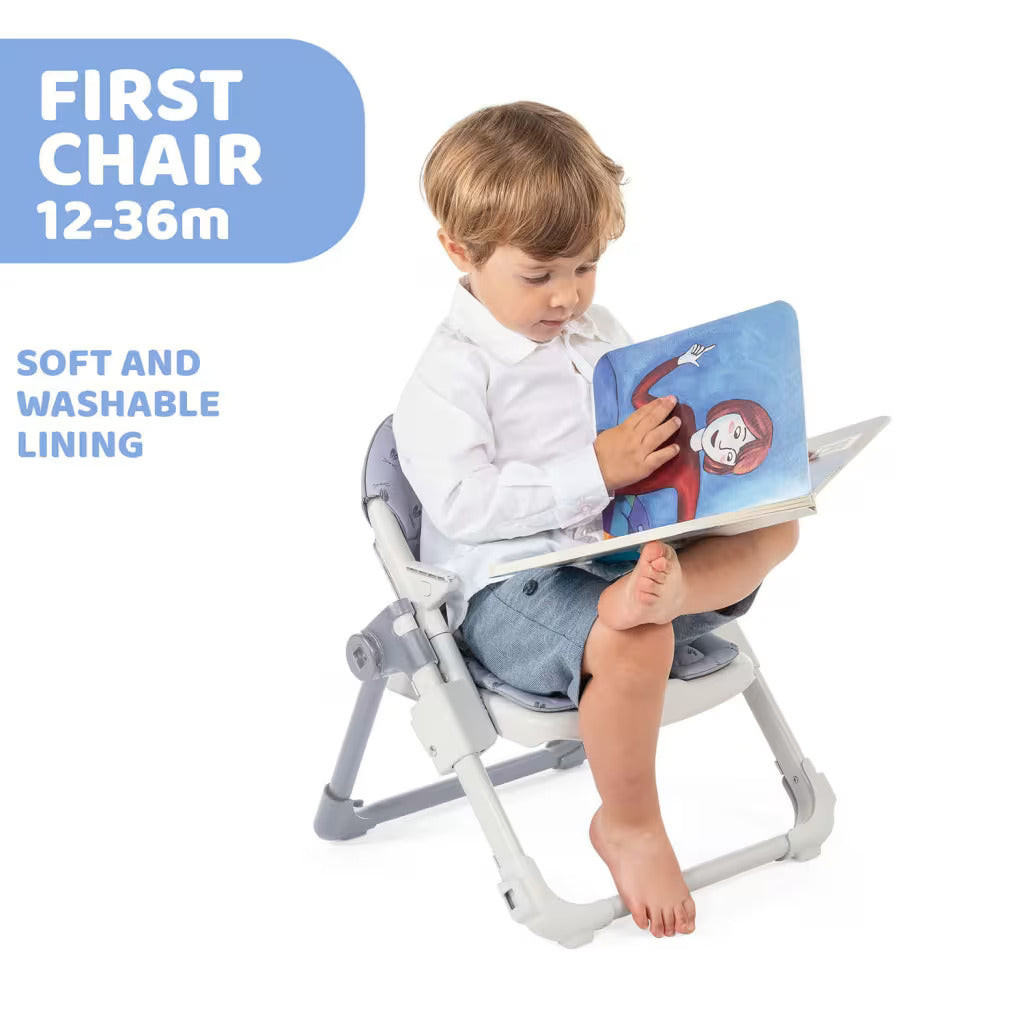 Chicco Chairy Booster Seat