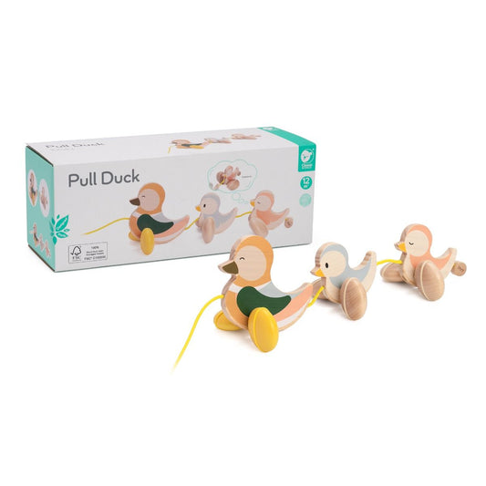 Classic World Pull Paddling Duck