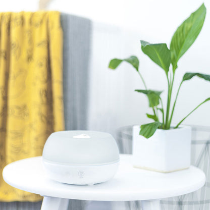 Crane Ultrasonic Personal Humidifier and Diffuser