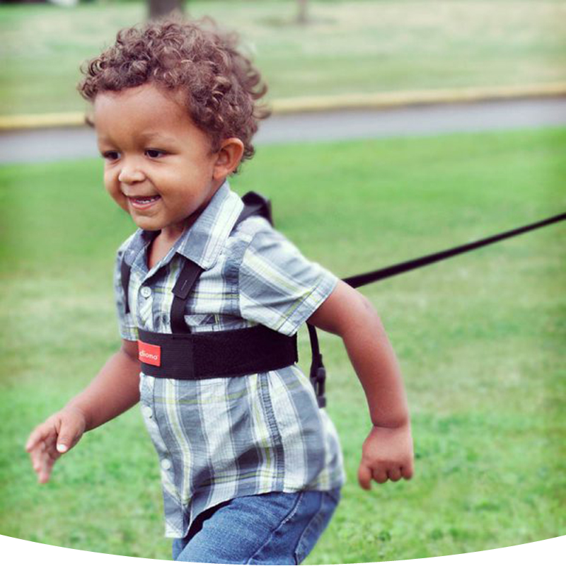 Diono Sure Steps Safety Harness