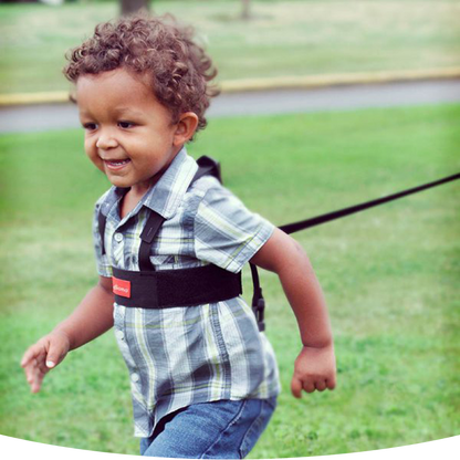 Diono Sure Steps Safety Harness