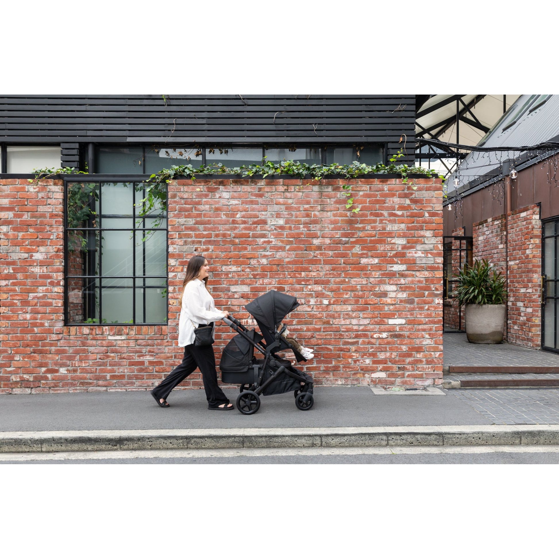 Edwards &amp; Co Olive