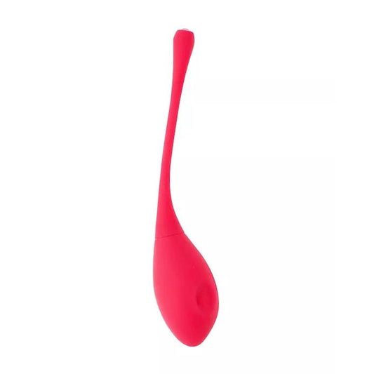 Eyden Vibrating Kegel Egg