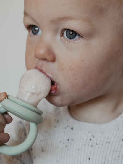 Petite Eats First Tastes Feeder