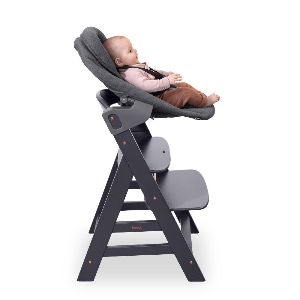 Hauck Highchair 2-in-1 Alpha Bouncer Premium