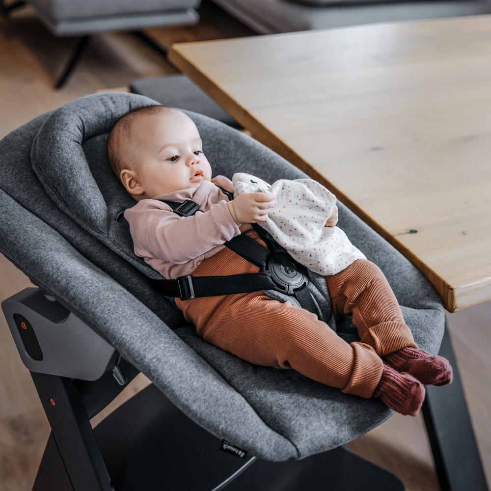 Hauck Highchair 2-in-1 Alpha Bouncer Premium