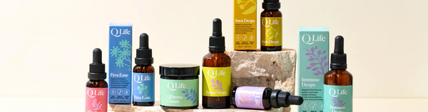 Health & Wellness