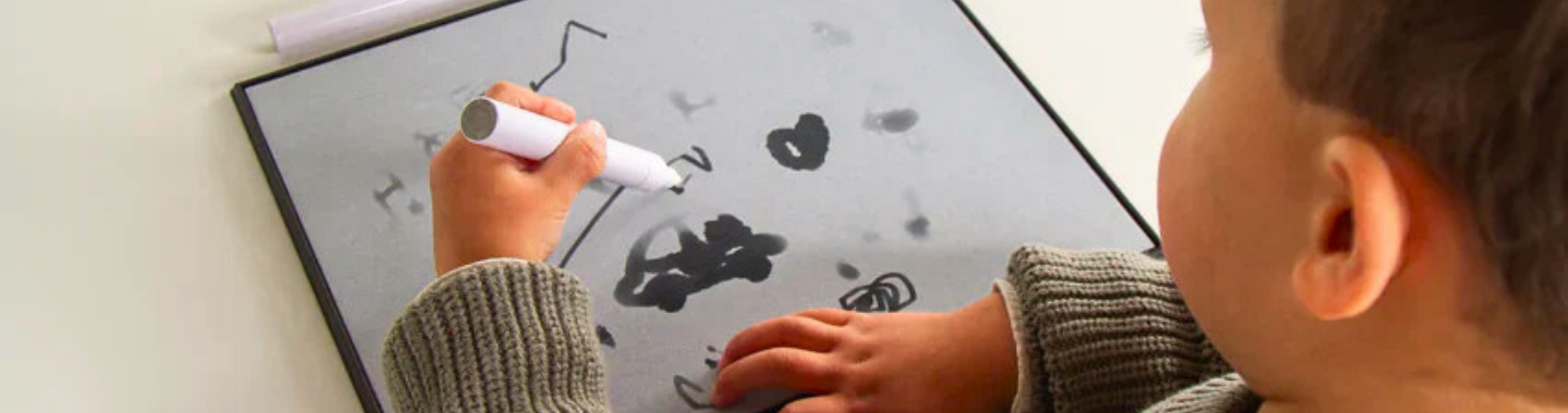 Interactive Toys