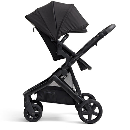 Edwards &amp; Co Olive