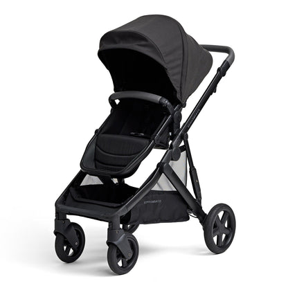 Edwards &amp; Co Olive