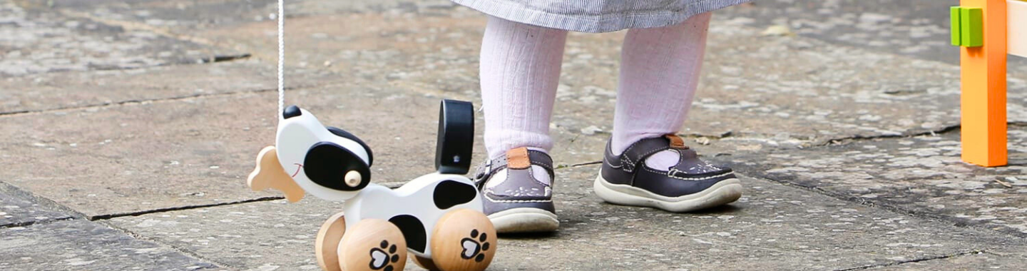 Push & Pull Along Toys