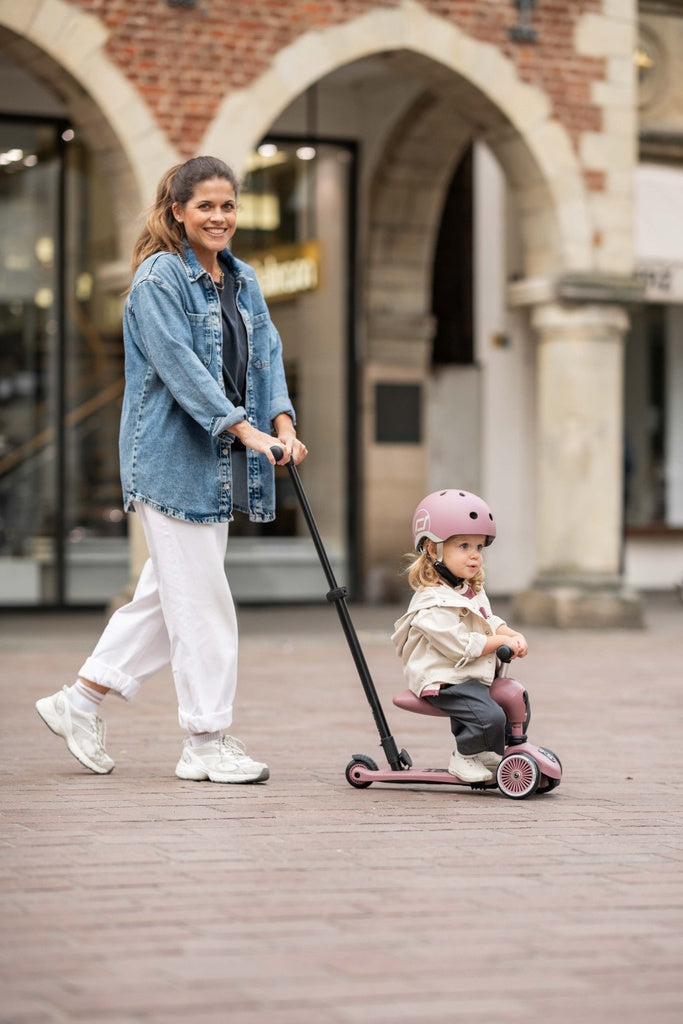 Scoot and Ride Highwaykick 1 Push and Go