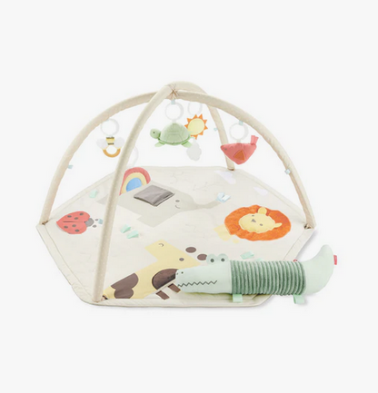 Skip Hop Geometric Wonders Activity Gym