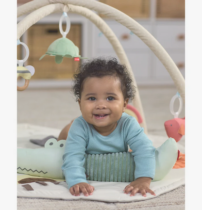 Skip Hop Geometric Wonders Activity Gym